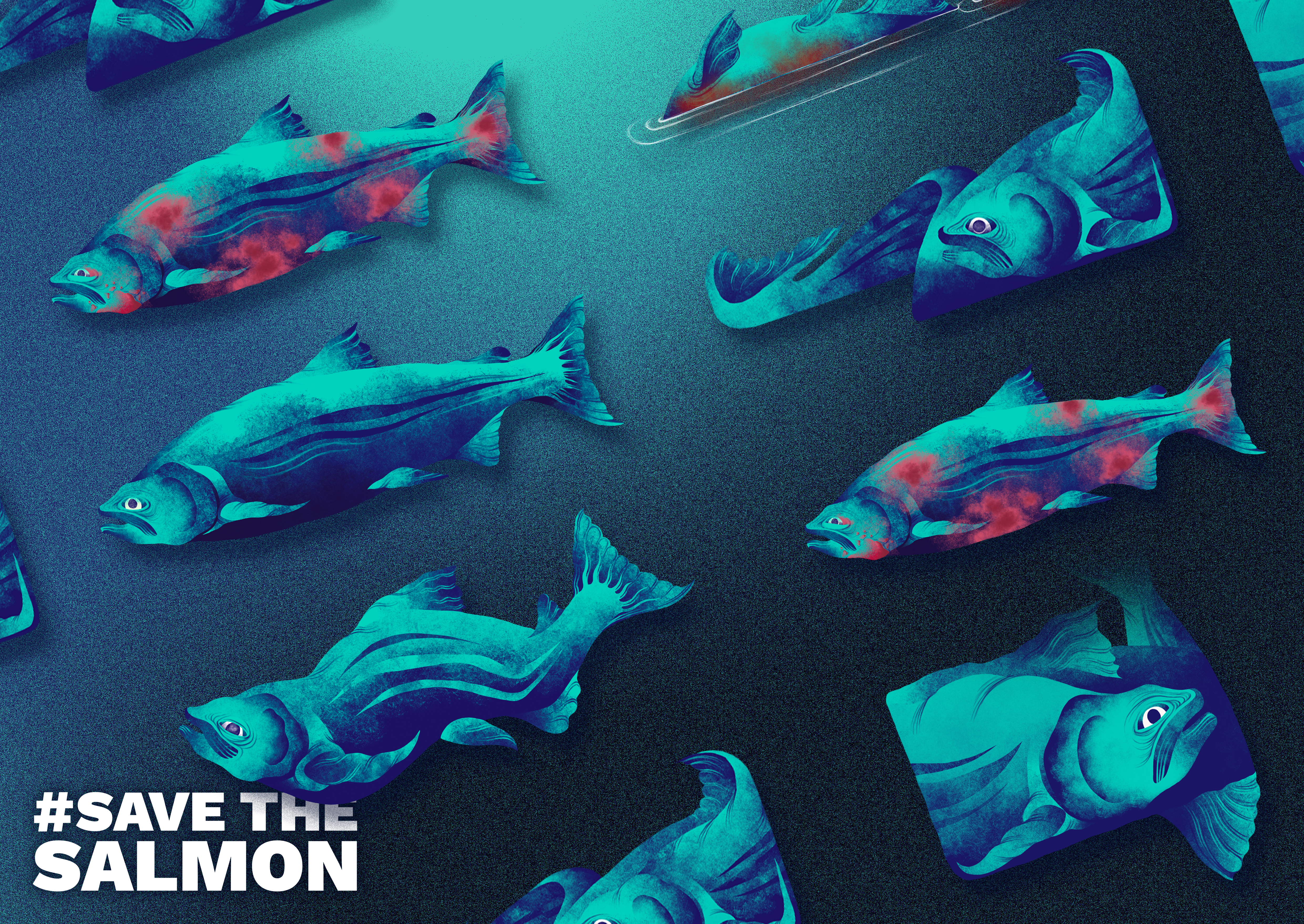 #SaveTheSalmon project imagery
